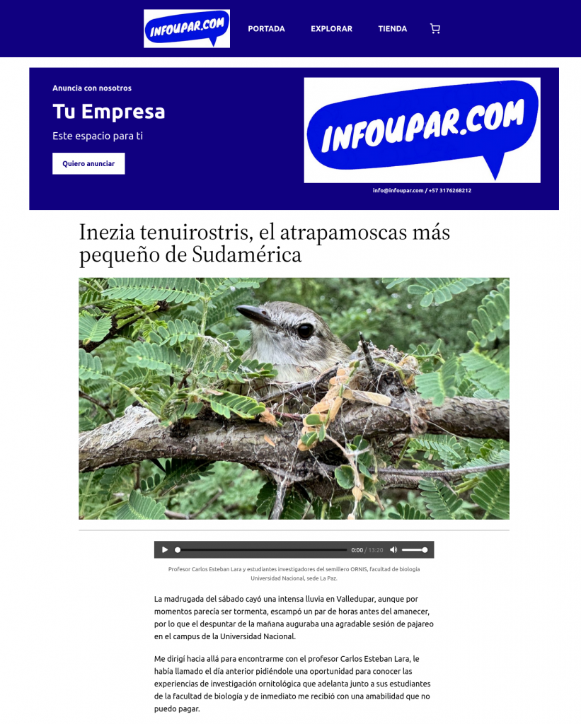 Captura de pantalla de un sitio web en monitor de PC.