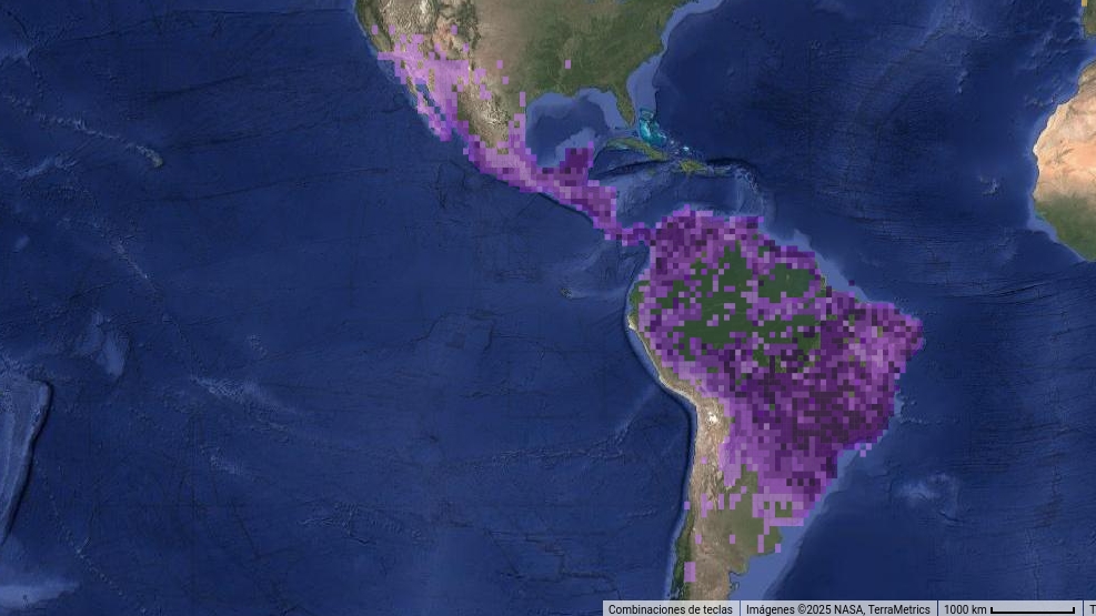 Mapa de distribución de una especie de paloma en el continente americano.