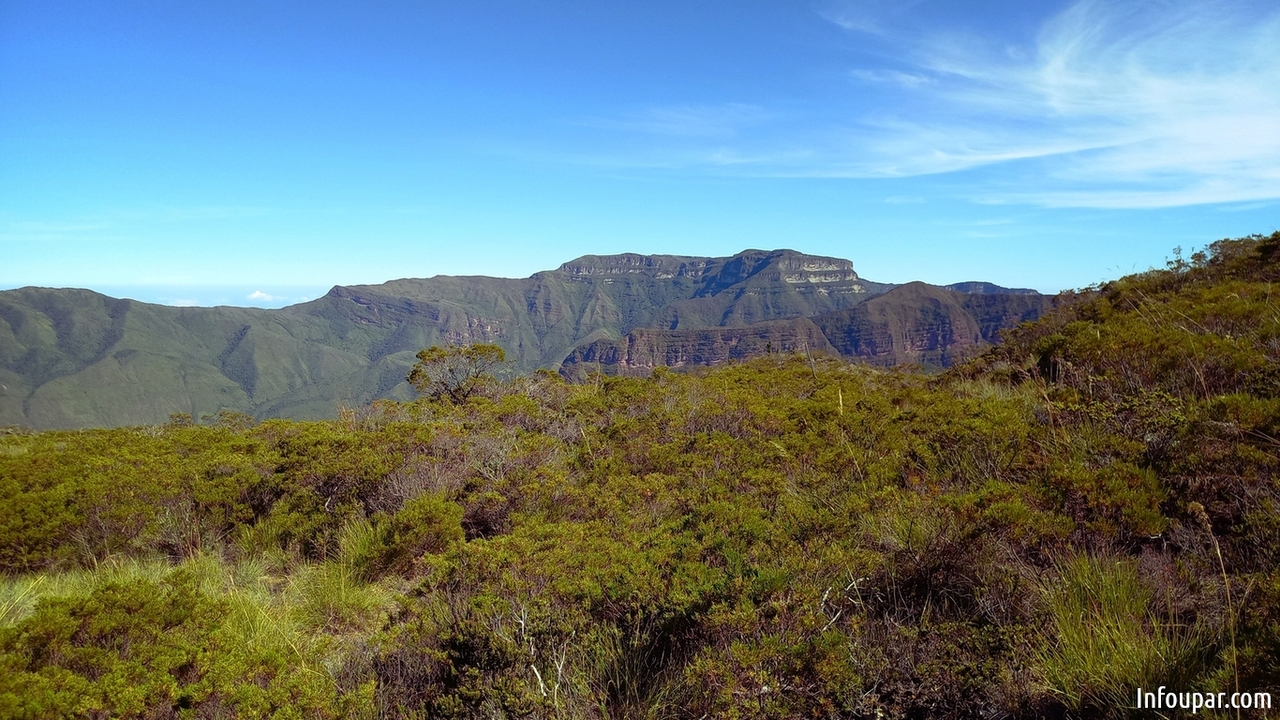 Editorial: ¿Cómo podría ser la paz de Colombia?