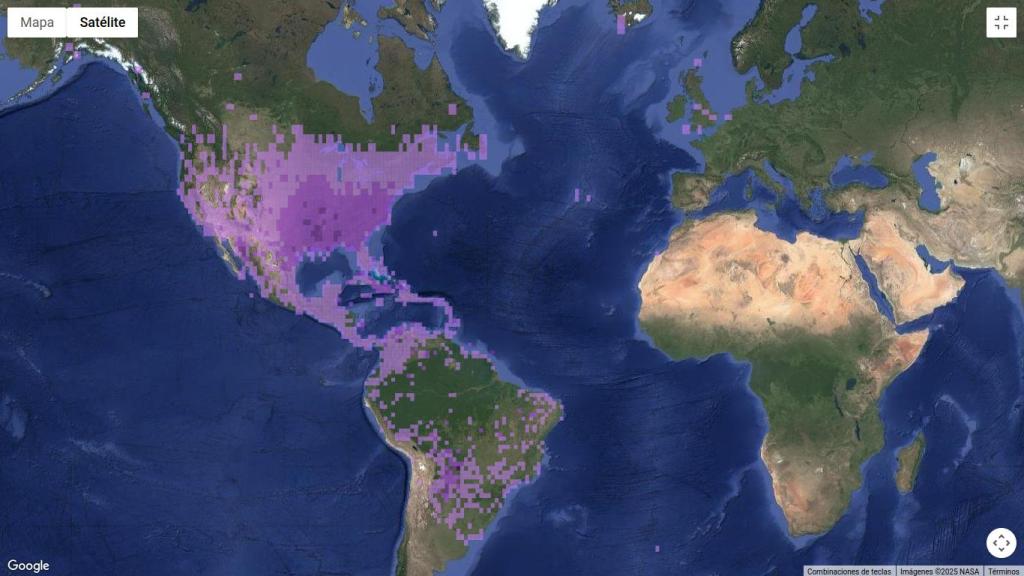 Mapa de distribución del pájaro cuclillo en el mundo.